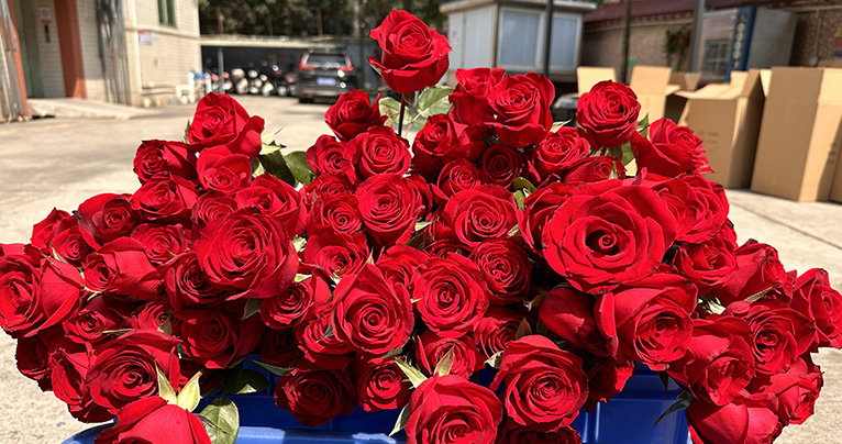 致最美的你！2024年三八婦女節(jié)如約而至，雅香麗懷揣著無比的敬意與期待，熱烈慶祝這個(gè)專屬于女性朋友們的盛大節(jié)日！